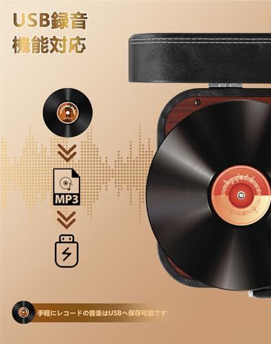 VOKSUN レコードプレーヤー Bluetooth送信と受信 USB録音可能 外部