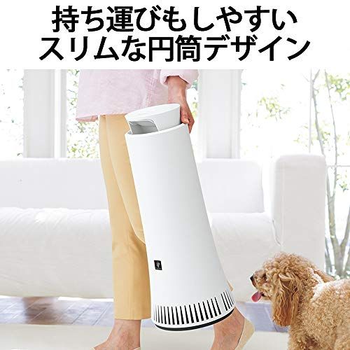 シャープ 脱臭機 プラズマクラスター NEXT(50000) 光触媒 脱臭 ホワイト DY-S01-Wｍａ