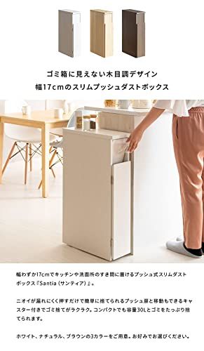 宮武製作所 スリムダストボックス Santia(サンティア) プッシュ扉式 DB-F170 NT ナチュラルｍａ