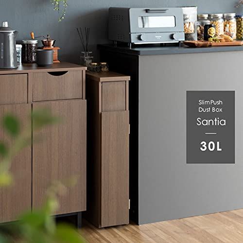宮武製作所 スリムダストボックス Santia(サンティア) プッシュ扉式 DB-F170 NT ナチュラルｍａ