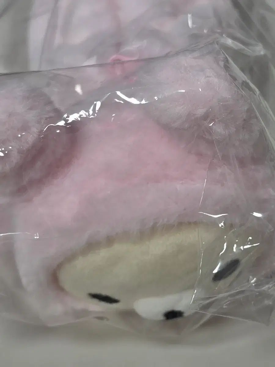 コリラックマ満載 筆箱 未開封