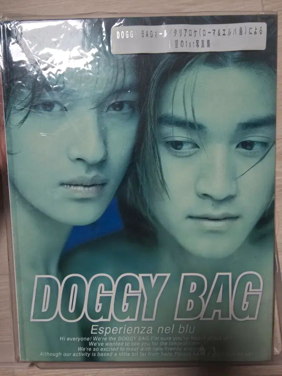 ゆい찌コージ写真集 y2k ドギーバッグ DOGGYBAG YUICHI KOJI - メルカリ