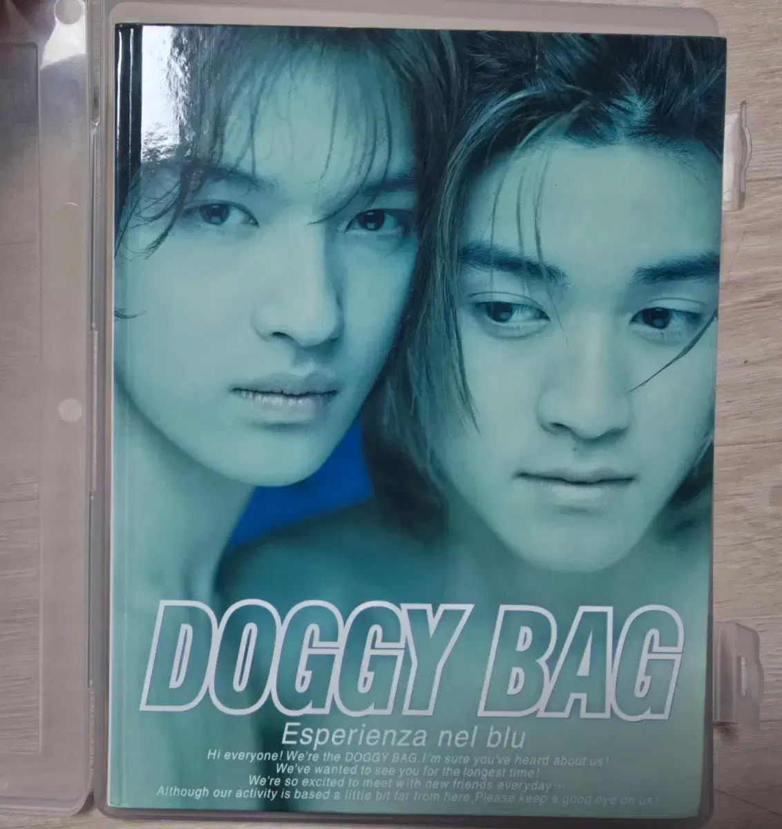 ゆい찌コージ写真集 y2k ドギーバッグ DOGGYBAG YUICHI KOJI