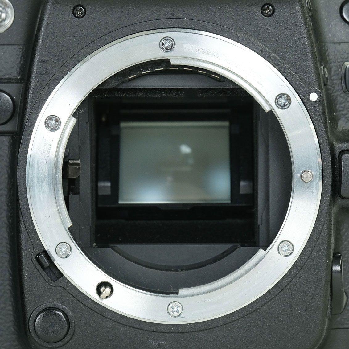 良品 | シャッター数13,088回] Nikon D80 ボディ | ニコンFマウント