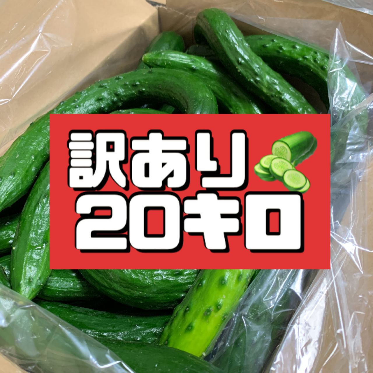 訳ありきゅうり 20kg 農家直送 新鮮＊匿名配送 - メルカリ