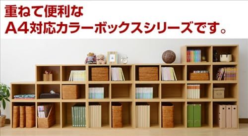 山善(YAMAZEN) 棚 本棚 カラーボックス A4ファイル対応 5段 スリム 幅