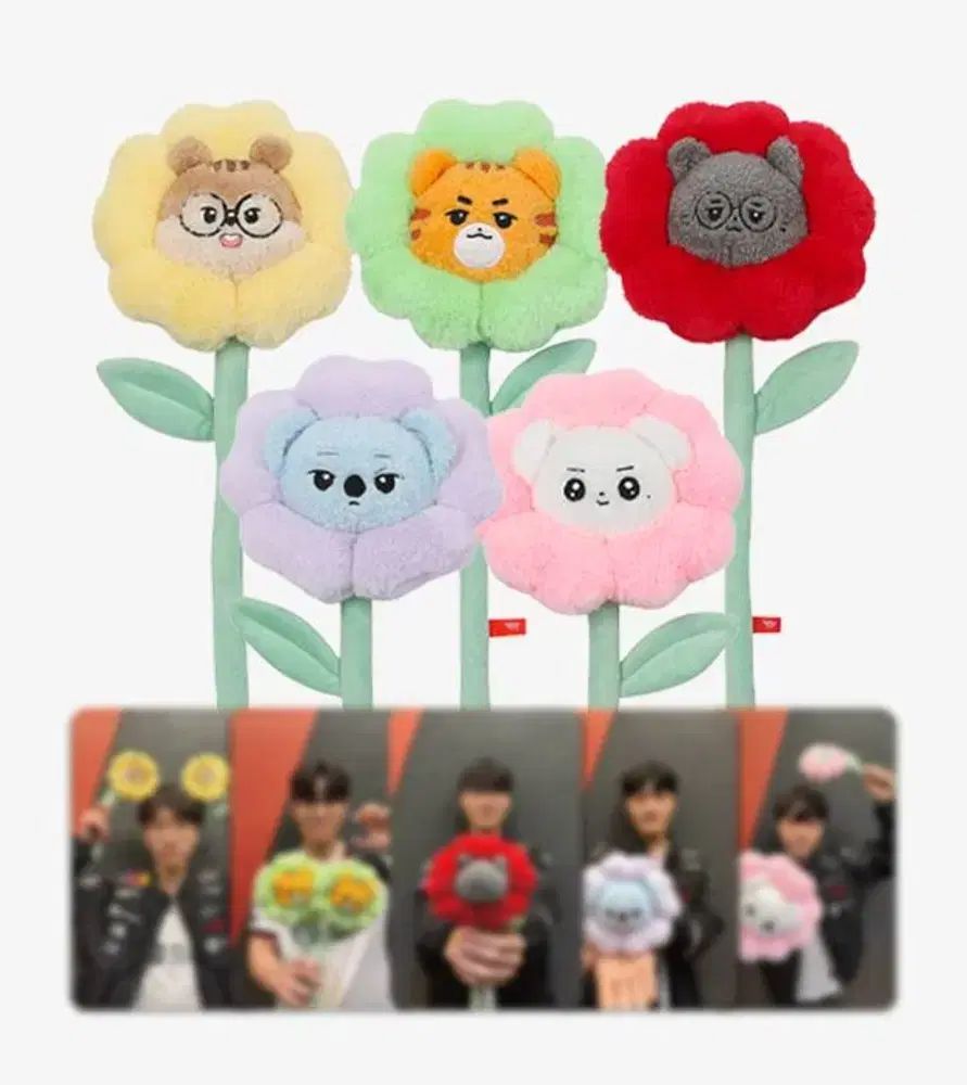 T1 ANIMAL アニマルフレンズ フラワー ぬいぐるみ 花束 ぬいぐるみ DOFPK
