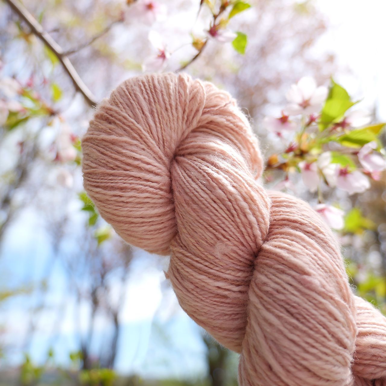 本物の桜色 103g/約270m｜桜染めの手紡ぎ糸　草木染め　ピンク 毛糸　コーモ　ポルワス