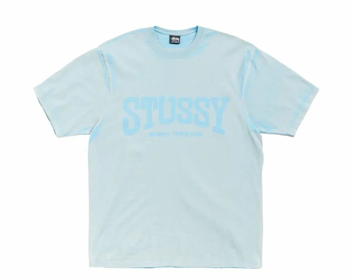 STUSSY ステューシー LEE リー ストーン ウォッシュド Tシャツ スカイブルー L