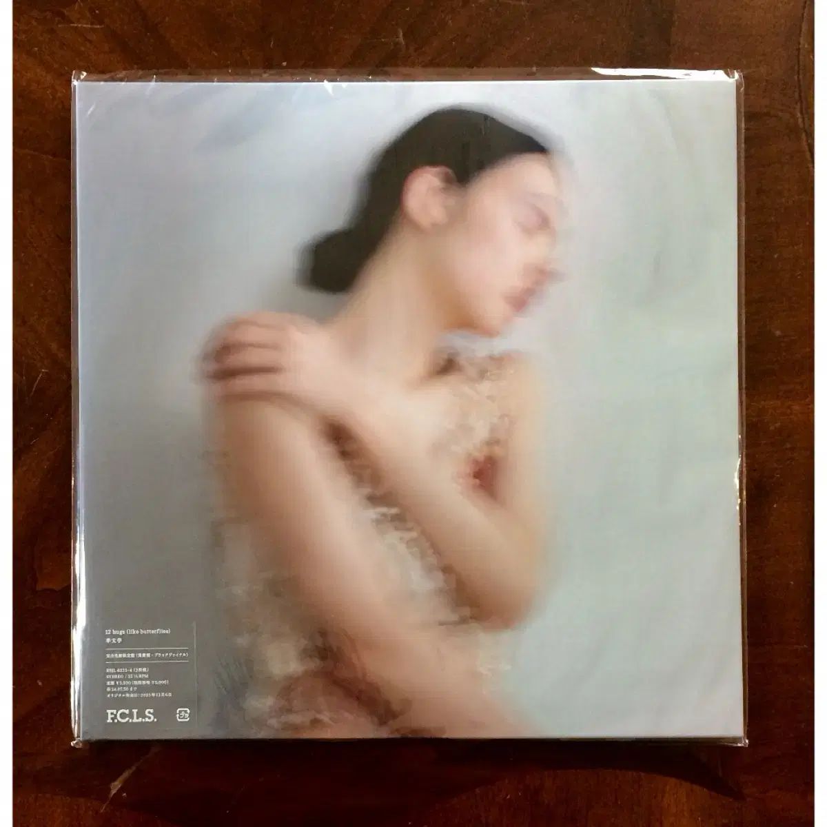 ヤン文学 12 hugs （ like butterflies ） LP