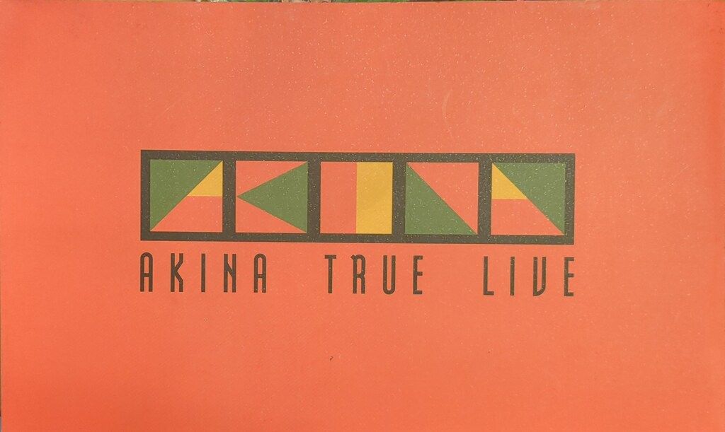 パンフレット 中森明菜 TRUE LIVE (1995年) - メルカリ