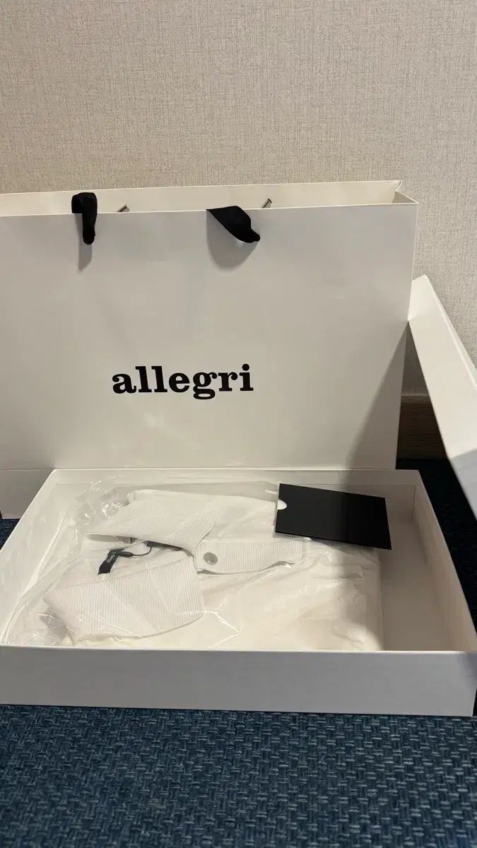 アレグリ カラーTシャツ 新品 プレゼント包装
