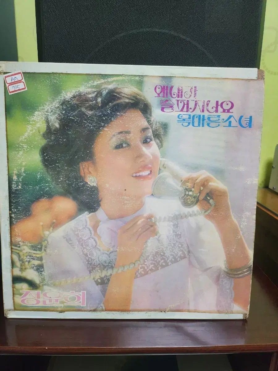 チョン・ユンヒ lp
