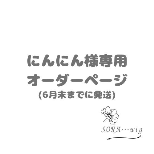 にんにんさま　専用ページ カワサキ エリミネーター400⁄SE カワサキ エリミネーター400SE ZL400A MacBook本体