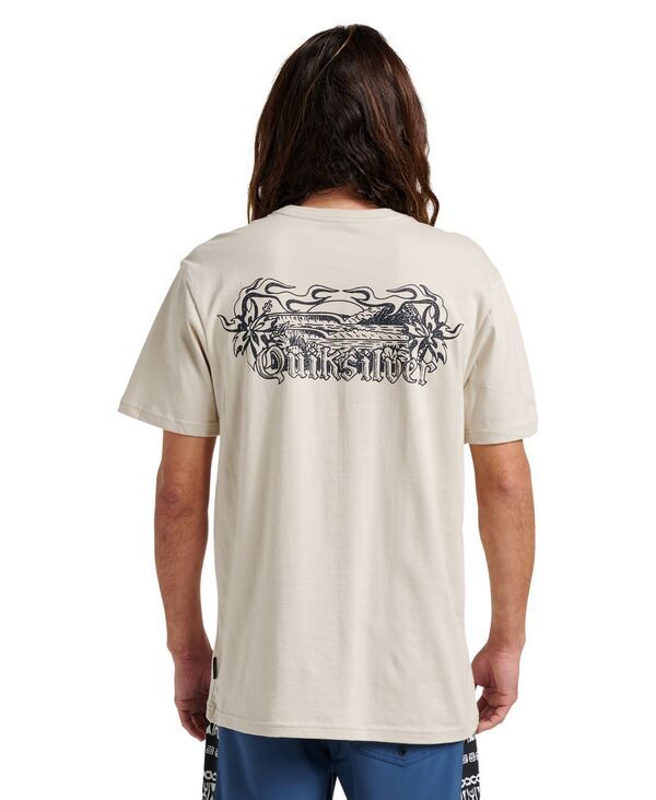 クイックシルバー メンズ トップス Tシャツ Quiksilver Mens Backyard Short Sleeve TShirt Moonstruck