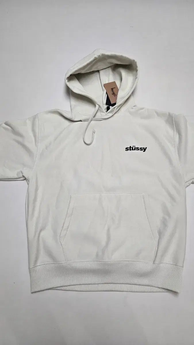 STUSSY ポップシクル フード L