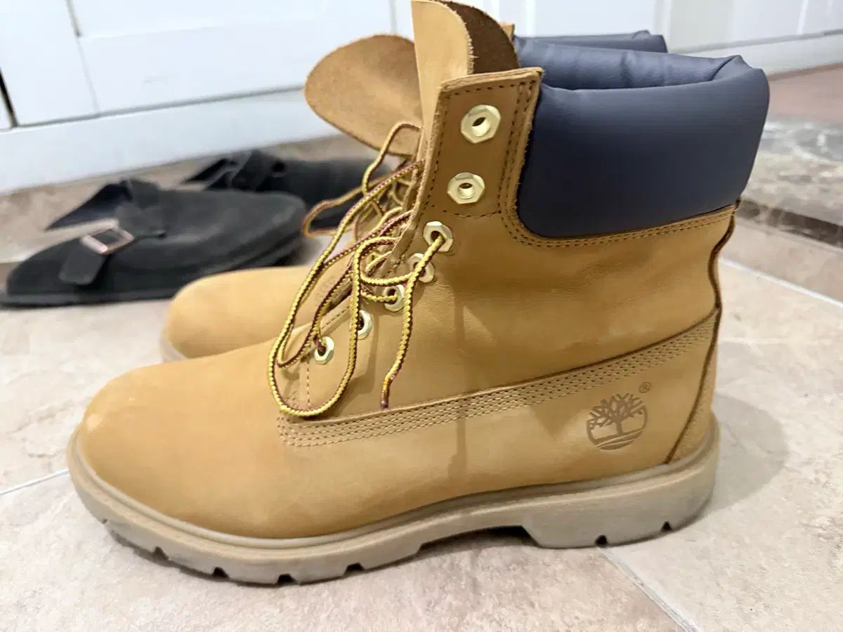 270 ティンバーランド 6インチ ブーツ timberland