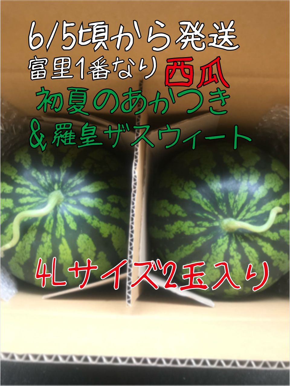予約販売6月5日前後より発送予約販売開始富里1番なり西瓜食べ比べセット初夏のあかつき&羅皇ザスウィート4Lサイズ2玉入り
