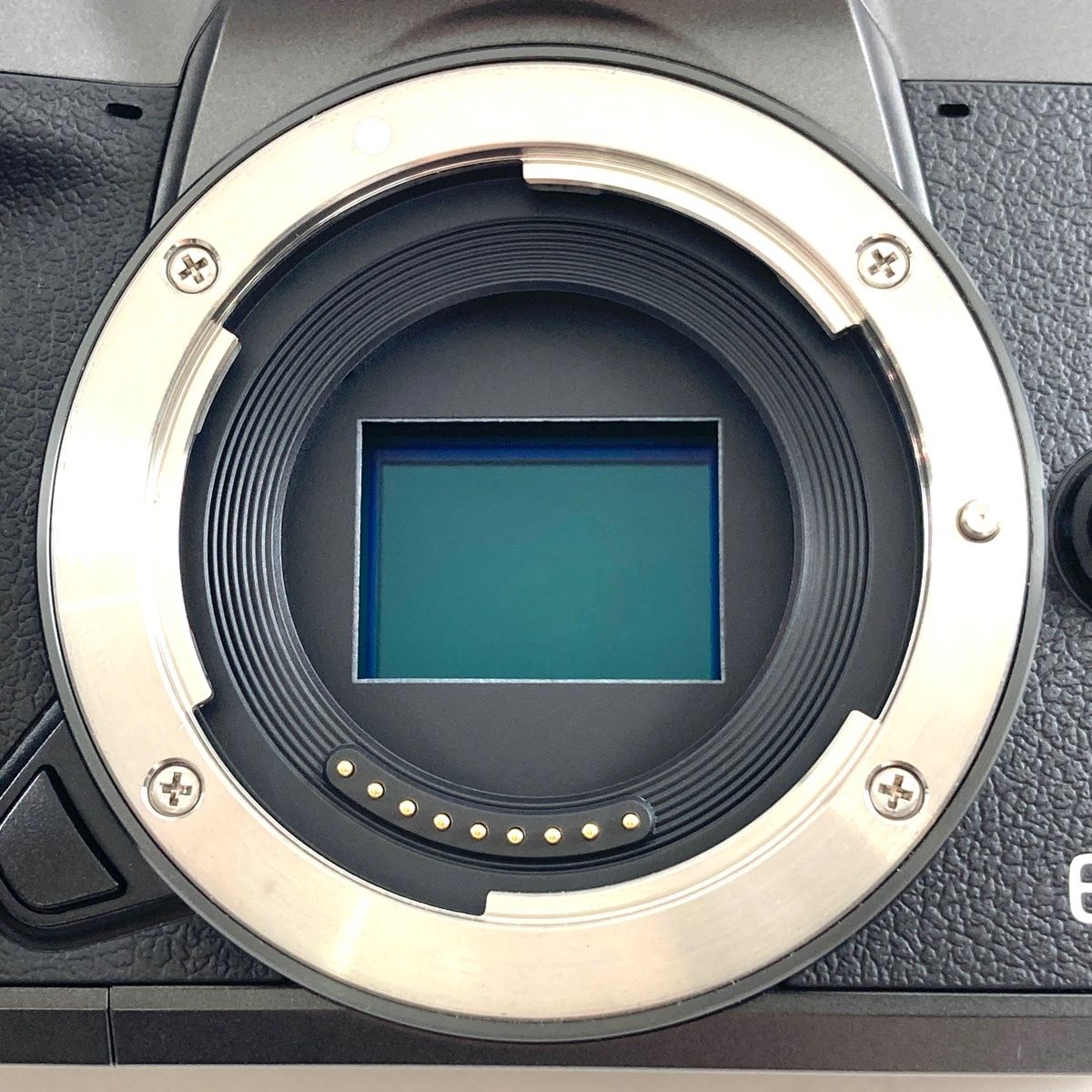 キヤノン Canon EOS M5 ボディ デジタル ミラーレス 一眼カメラ 【中古