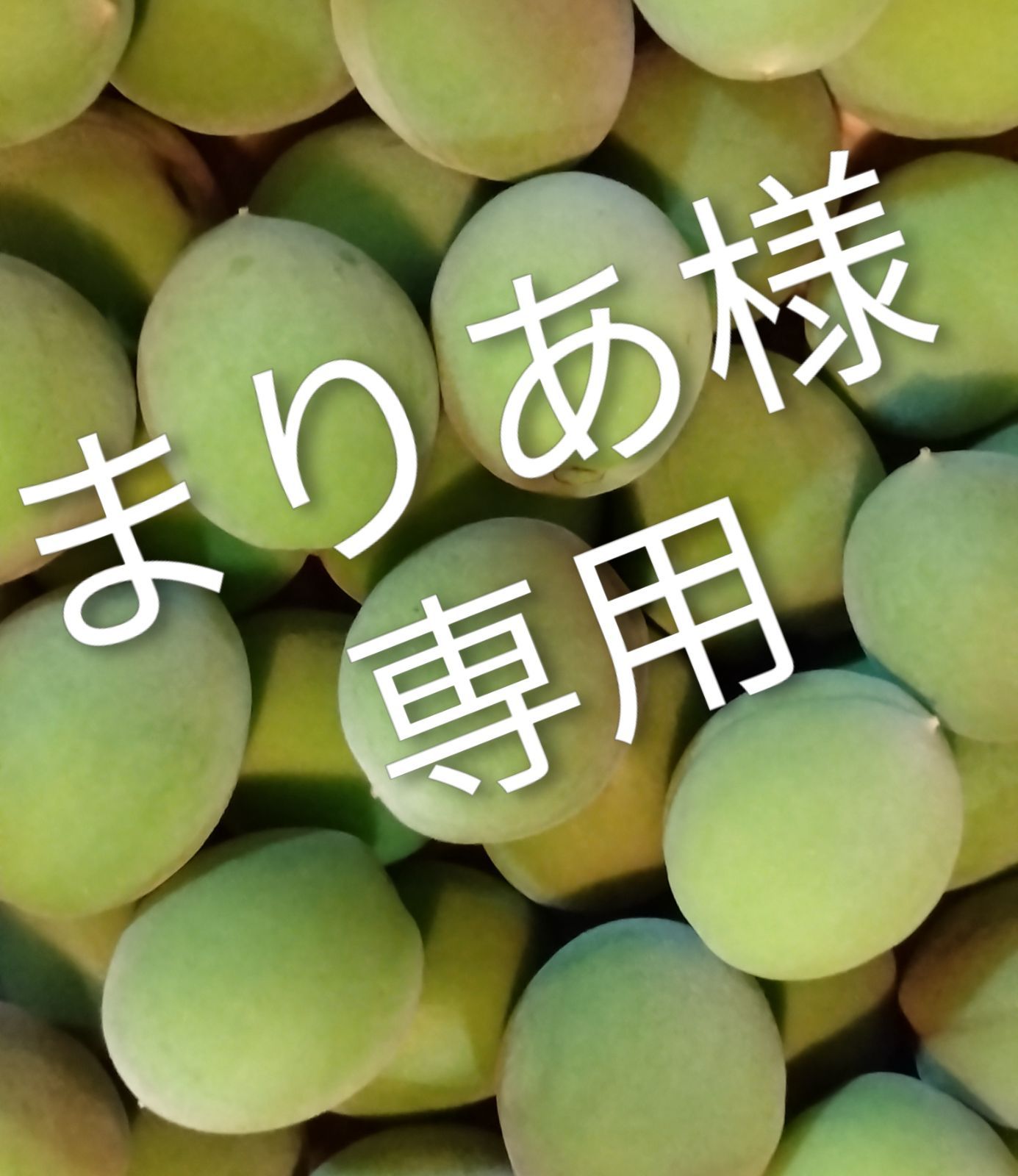 山梨の青梅 14㌔(L) 訳あり まりあ様専用商品