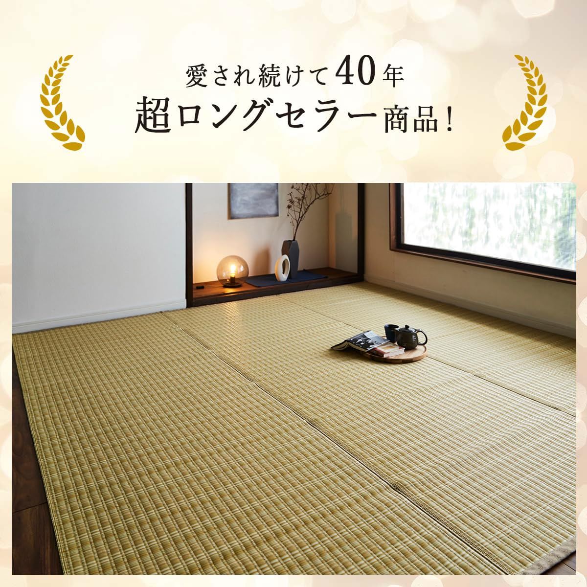 イケヒコ ラグ カーペット 日本製 ポリプロピレン カーペット 本間10畳 新品 イケヒコ ラグ カーペット 日本製 ポリプロピレン カーペット