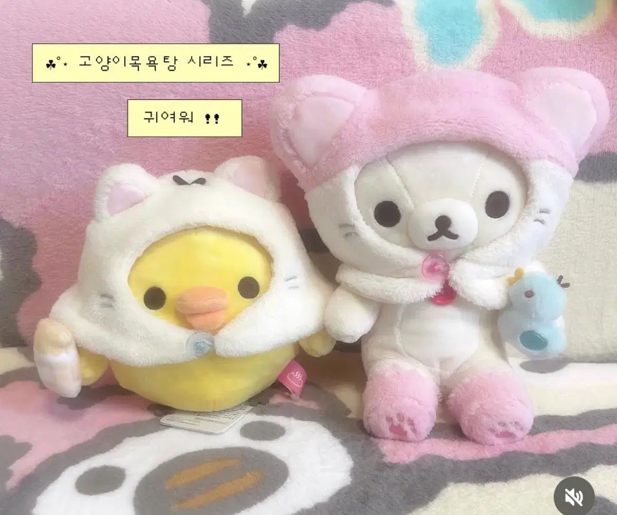 猫 목욕탕 시리즈 コリアック+キー まとめ