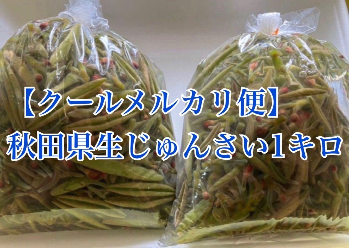 食品 秋田県 生じゅんさい 2キロ