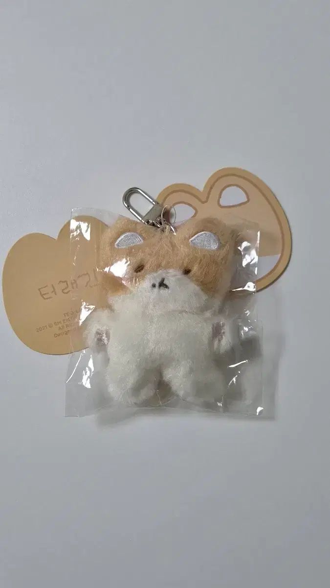 トレギ TEOLAEGI