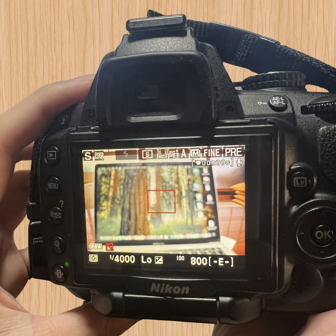 Nikon D5000 AF-S DX NIKKOR 18-55mm VR 55-200mm VR ダブルレンズ