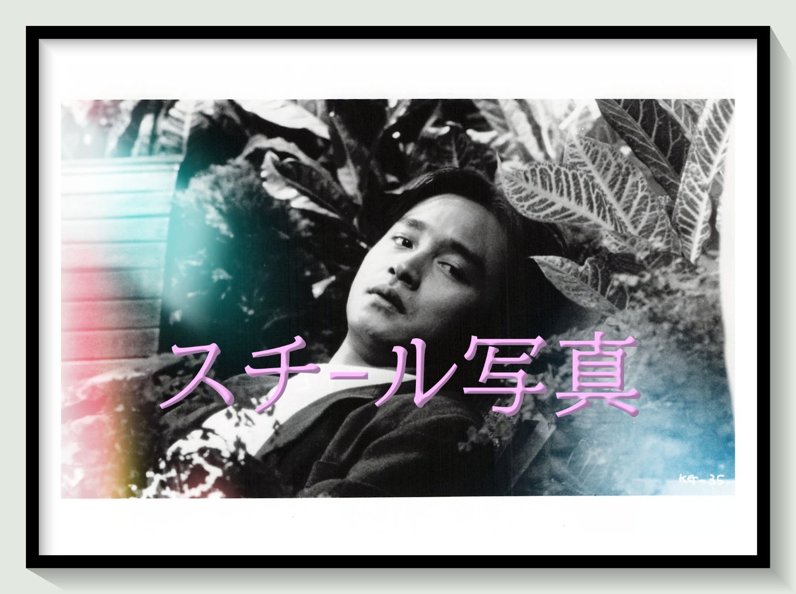t『君さえいれば/金枝玉葉』1995年映画オリジナルスチール写真 pt002063 ピーター・チャン レスリー・チャン アニタ・ユン カリーナ・ラウ チャン・シウチョン エリック・ツァン ロー・ガーイン