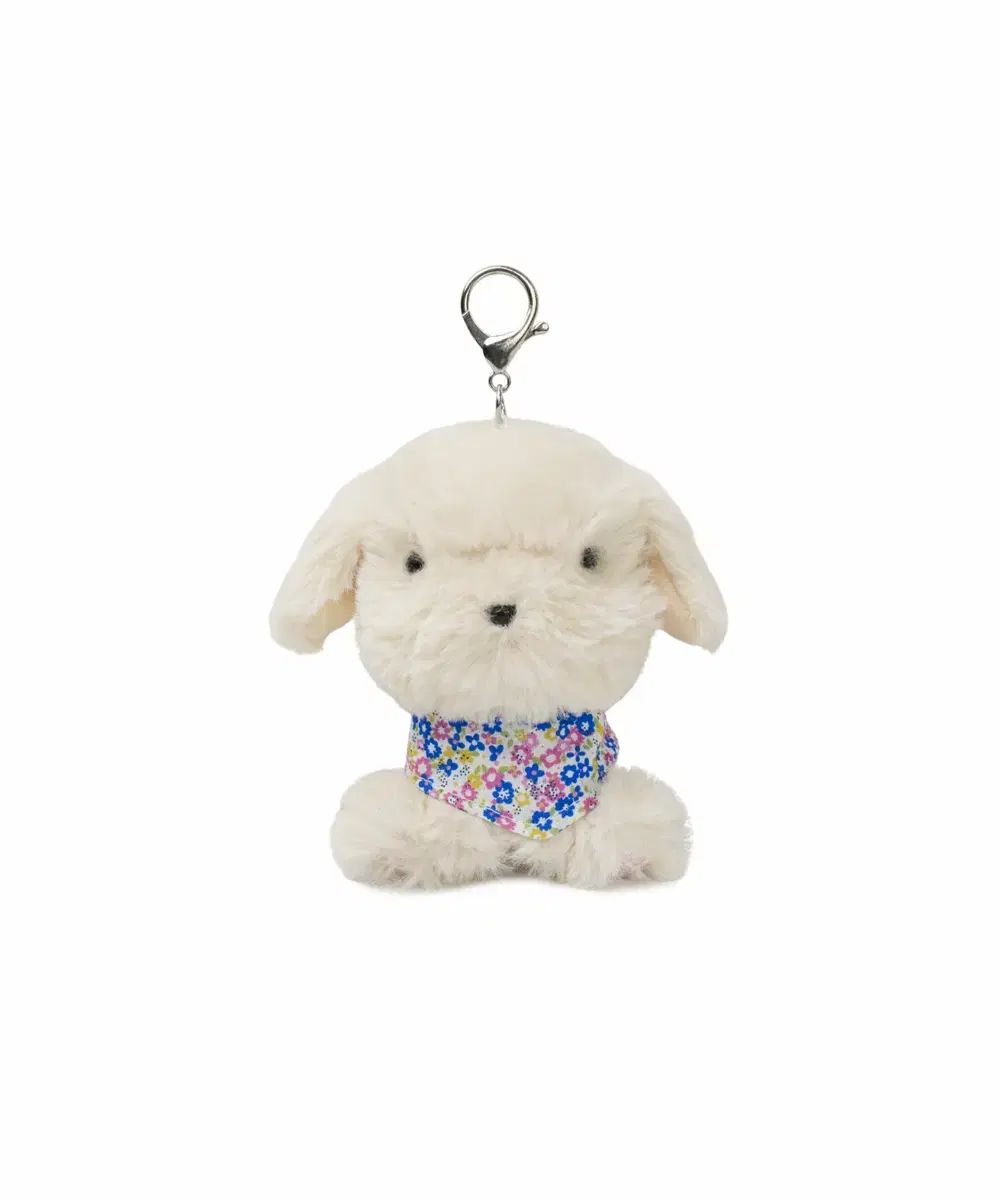 コイッセイオ 午後 キーホルダー / 犬 coyseio ぬいぐるみ