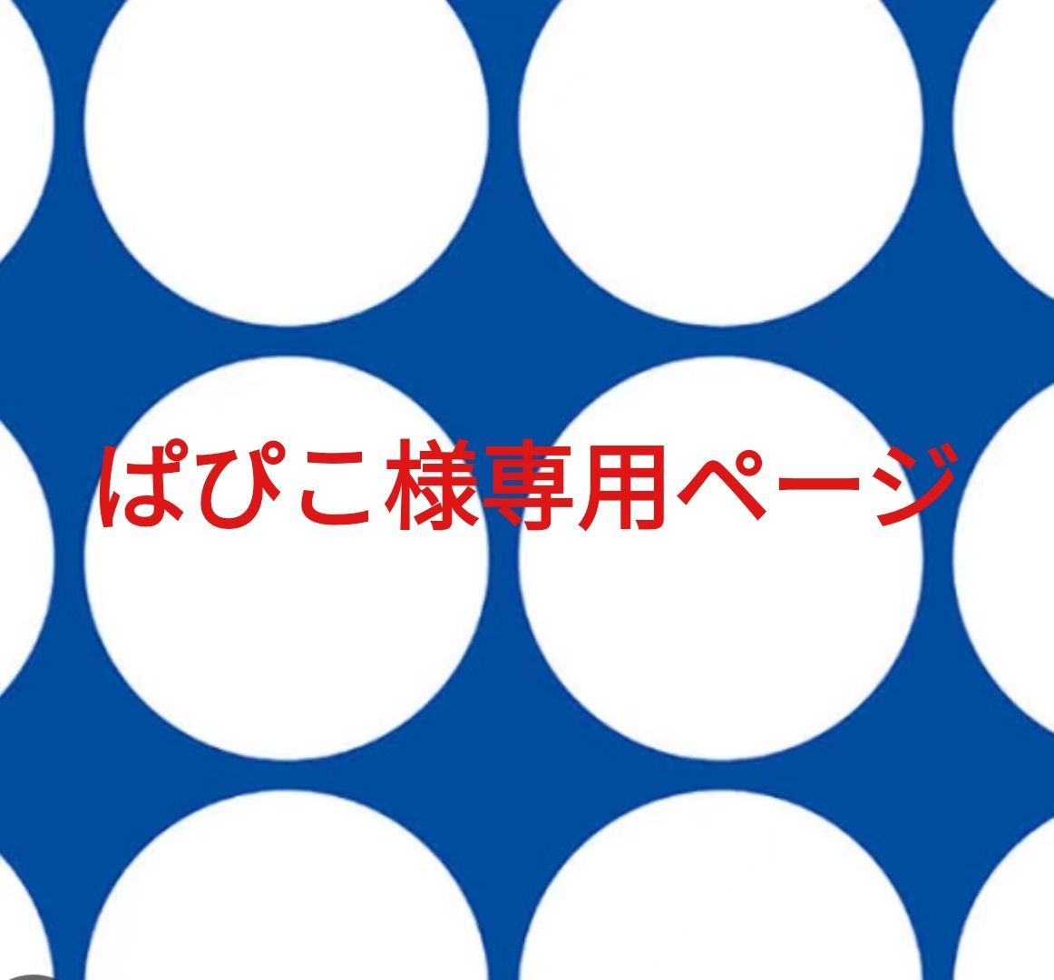 ぱぴこさま専用 【公式通販】