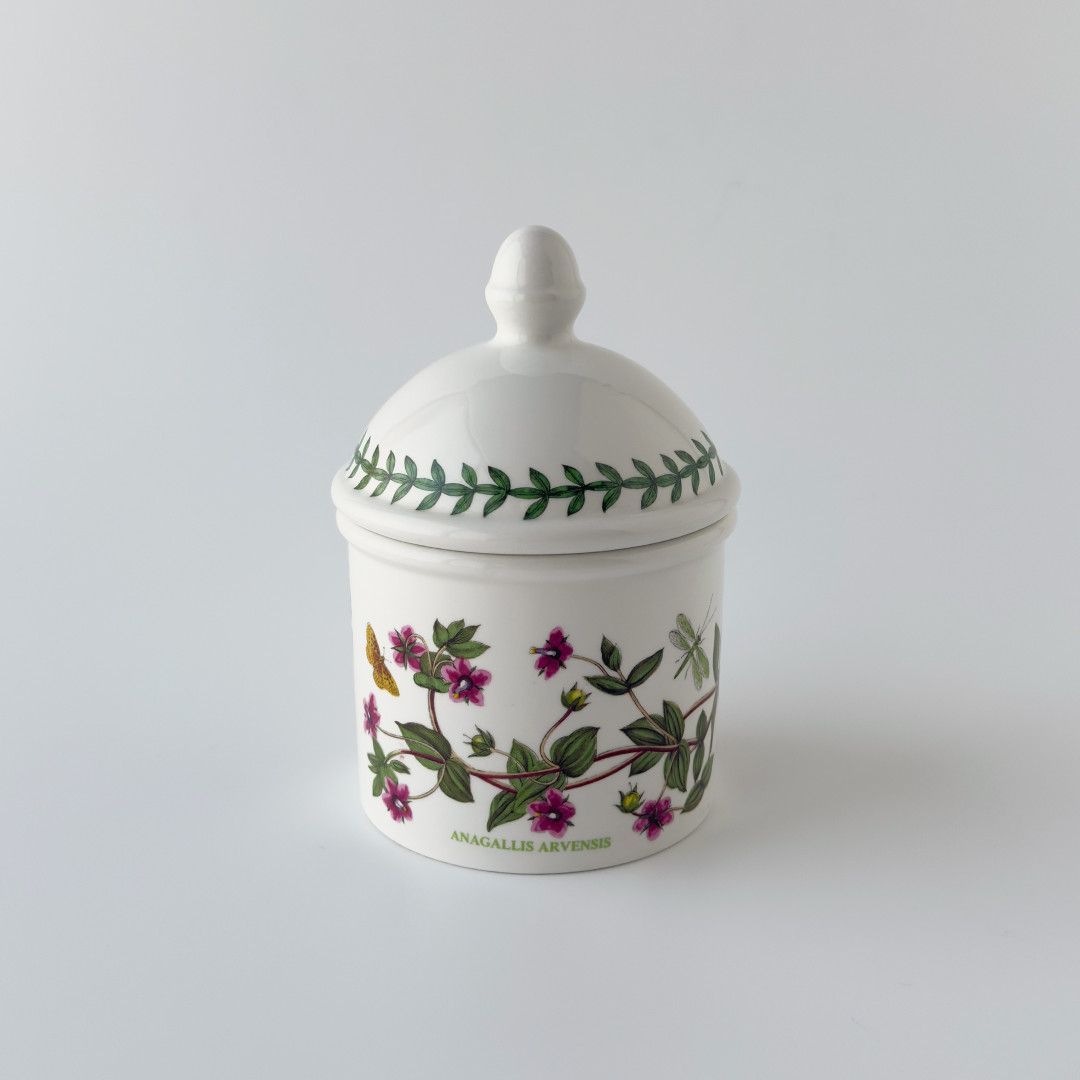 レア イギリス Portmeirion ボタニックガーデン キャニスター 保存容器 ヴィンテージ 陶器 ポートメリオン BOTANIC GARDEN 98162