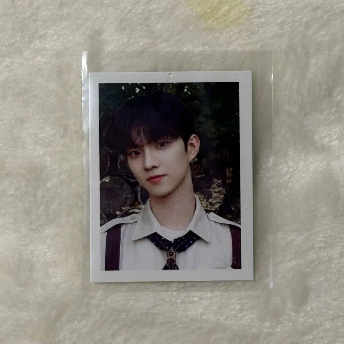 THE BOYZ(ザ・ボーイズ・ドボイズ) 큐(Q・チャンミン) 2023 シーグリ