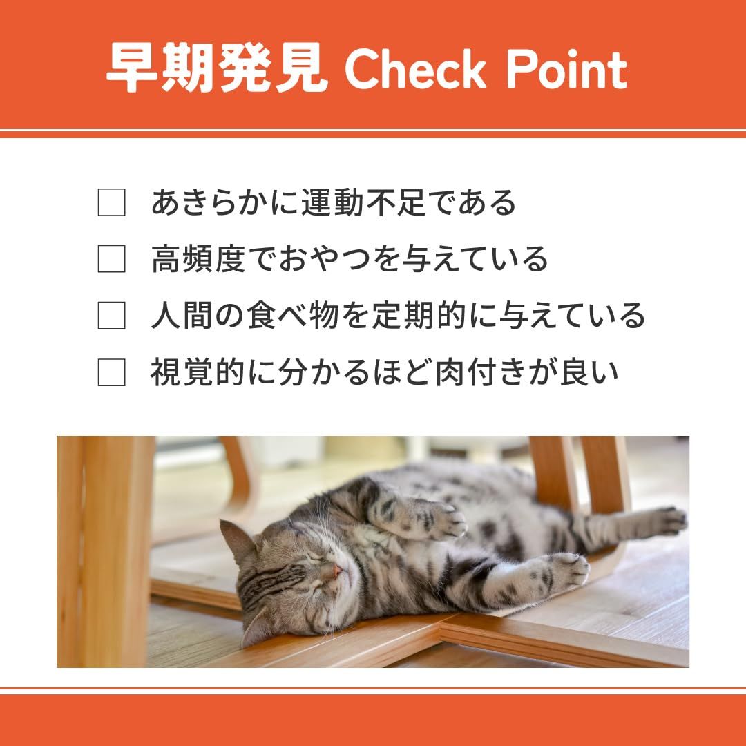 猫用品 VetsWell(ベッツウェル) 猫用食事療法食 肥満ケア 2kg [2kg]