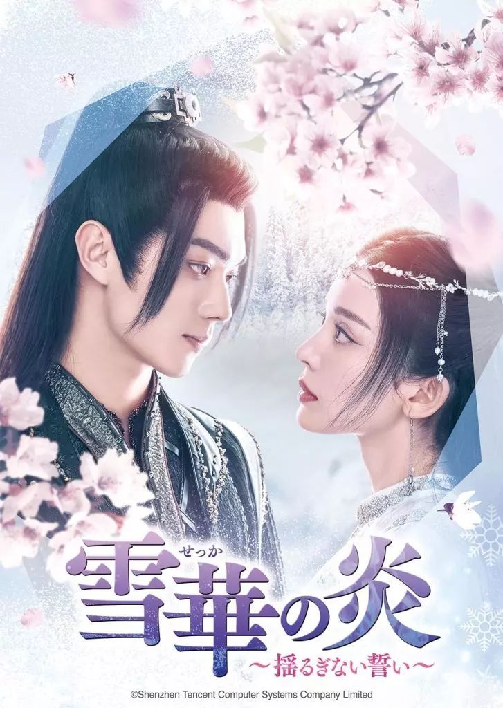 【中古】海外TVドラマDVD 雪華の炎-揺るぎない誓い- DVD-SET1