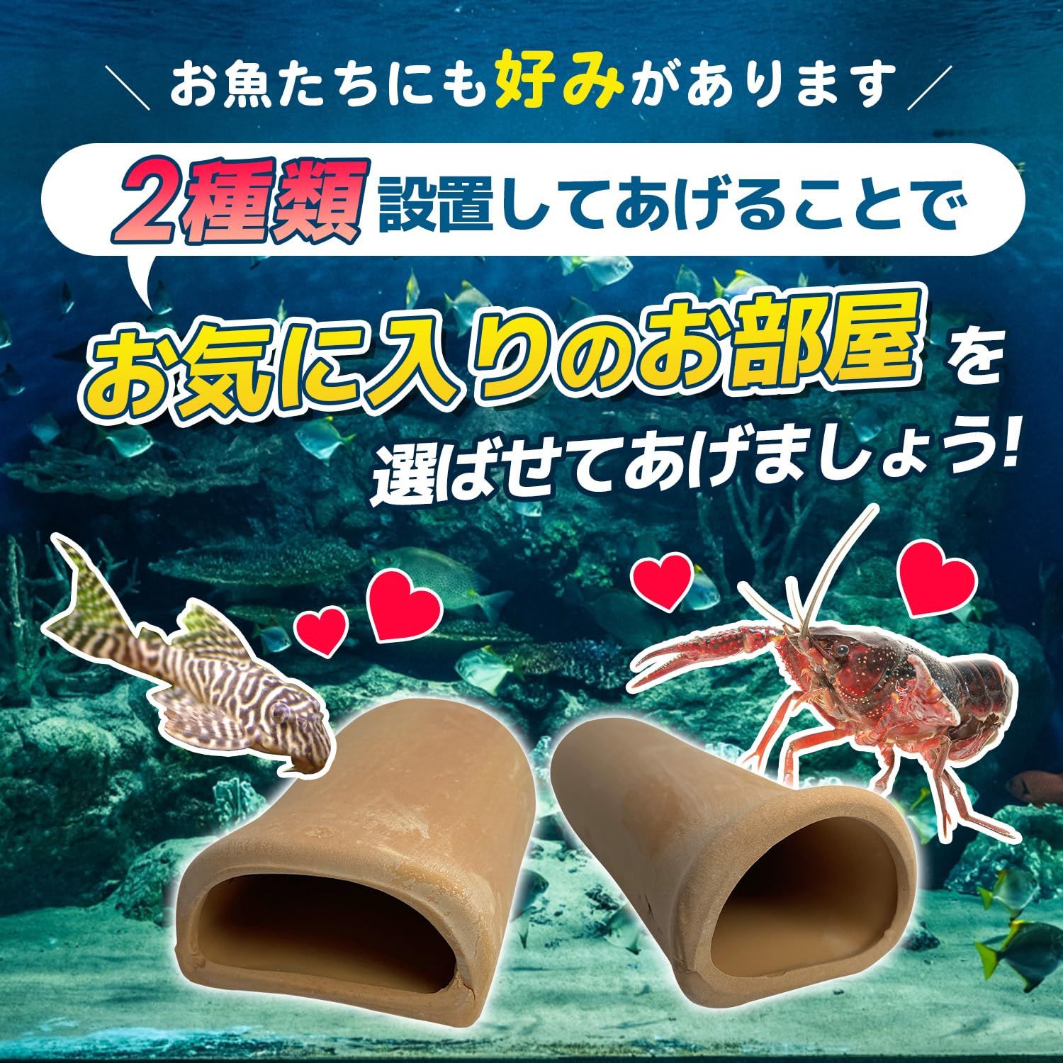 数量限定】【大人気】熱帯魚 アクアリウム 陶器 シェルター 隠れ家