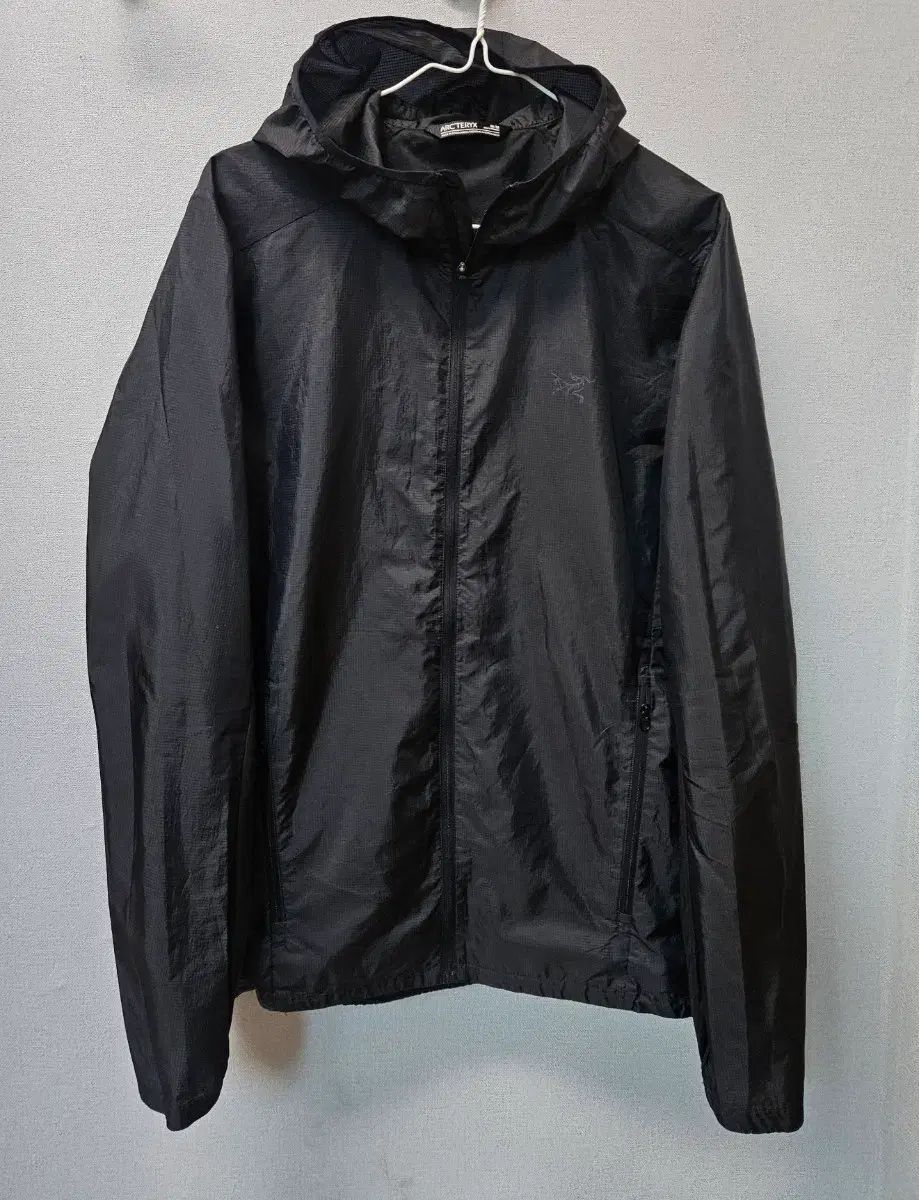 ARC'TERYX アークテリクス インセンディオ フーディ M
