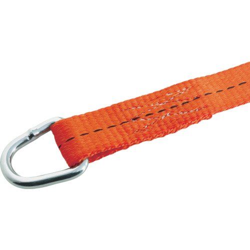 新品 TRUSCO(トラスコ) ベルト荷締機 25mm幅 200kg Dリングタイプ GV25200D