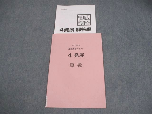 日能研 小4 2025年度 夏期講習テキスト 4発展 未使用品 005s2D