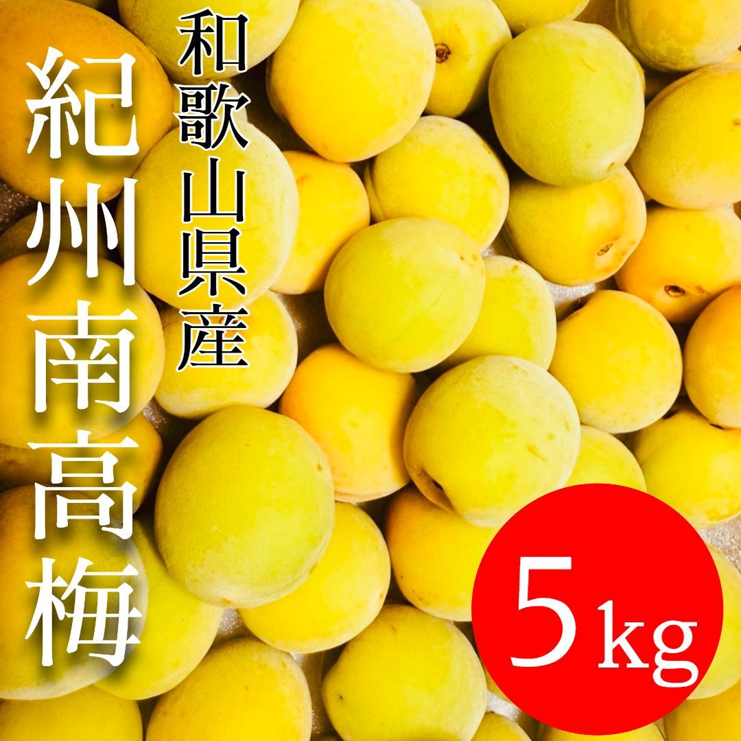 予約】和歌山産 南高梅 5kg 完熟梅｜梅酒・シロップに - メルカリ