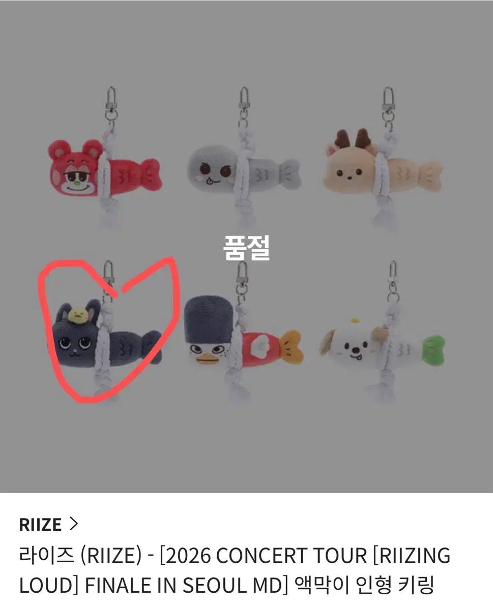 RIIZE（ライズ） アクスタ ぬいぐるみ キーリング ウォンビン(WONBIN) トゥー羊ダック ぬいぐるみ キーリング 販売 2