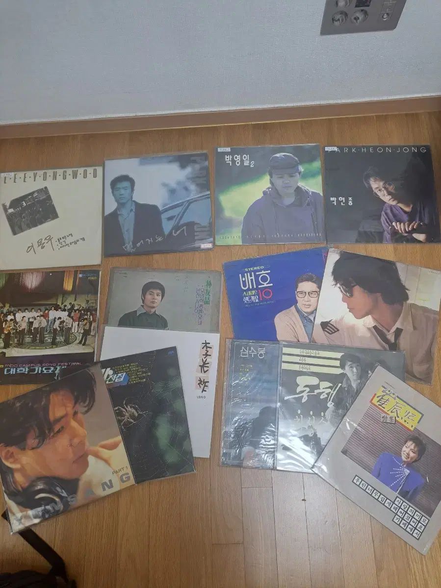 行こう lp 14 腸 まとめ売り