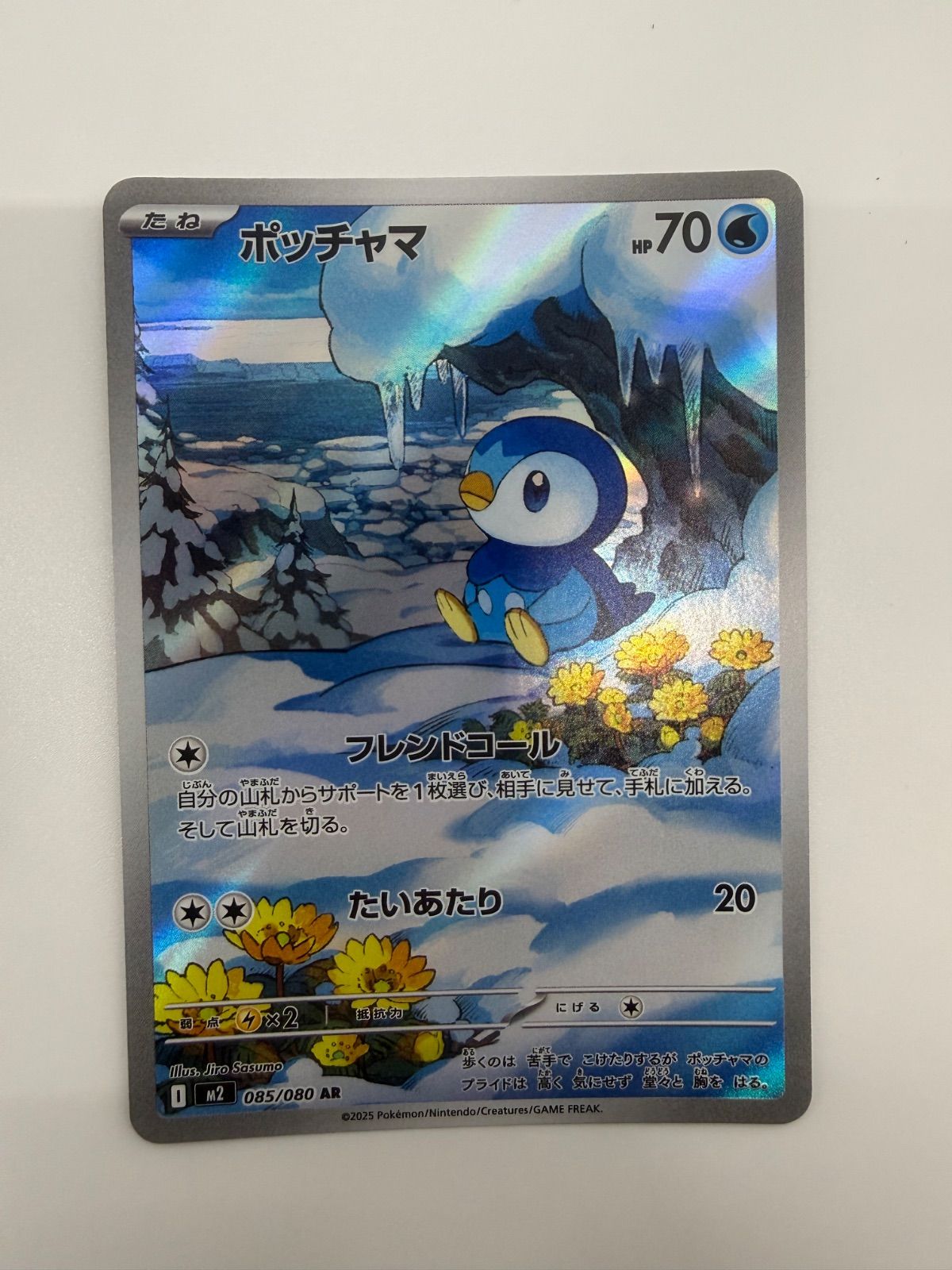 ポッチャマ AR [M2 085/080] 3連番 ポッチャマ AR M2 085/080 - メルカリ