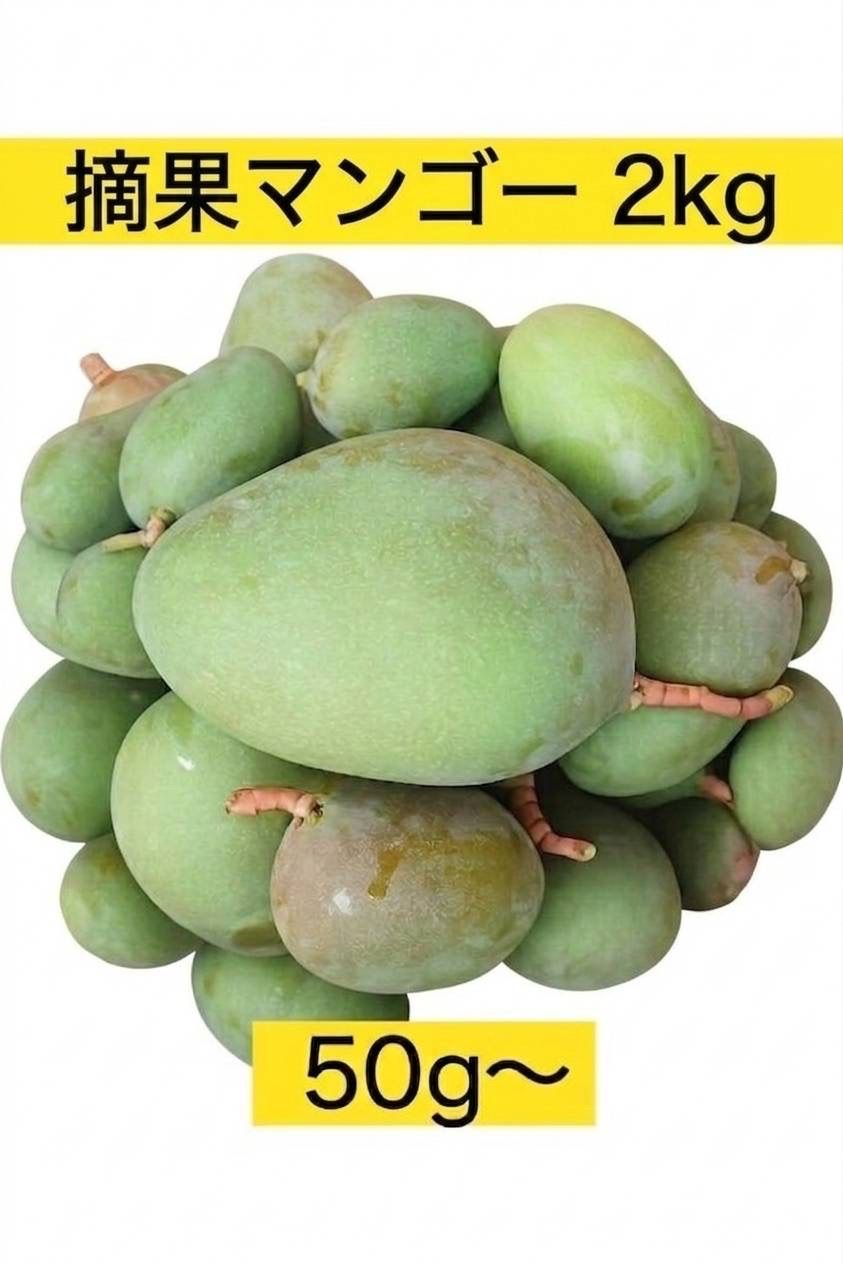 摘果マンゴー 2kg（宮古島産) - メルカリ