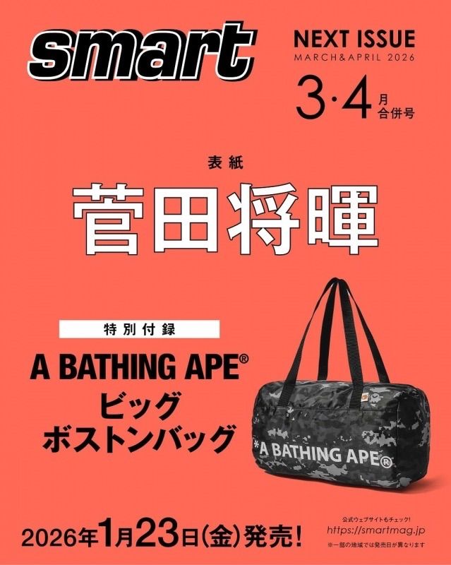 BAPE◆A BATHING APE／◆ビッグボストンバッグ◆付録品ノベルティ BAPE◇A BATHING APE／◇ビッグボストンバッグ◇付録品ノベルティ