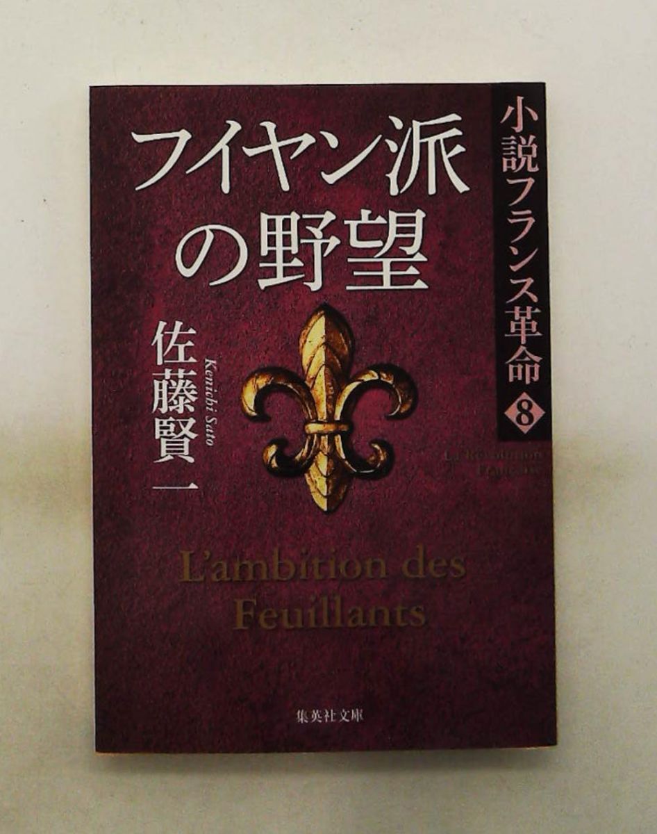 小説フランス革命 8 フイヤン派の野望 佐藤 賢一 集英社 - メルカリ