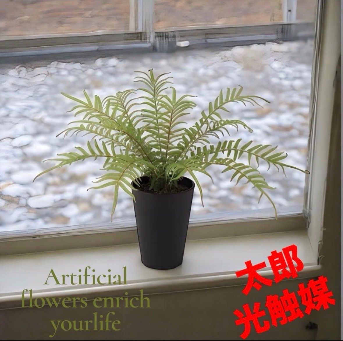 光触媒　人工観葉植物　ウォールグリーン　フェイクグリーン　ヒリュウシダ@@