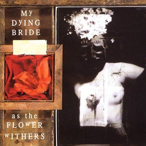 【CD】As the Flower Withers