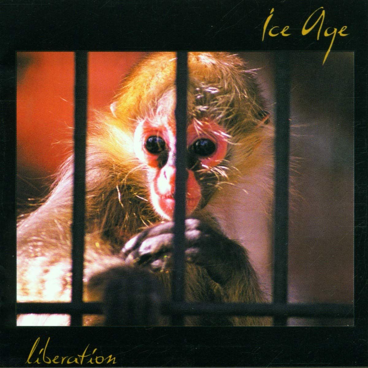 【CD】Liberation